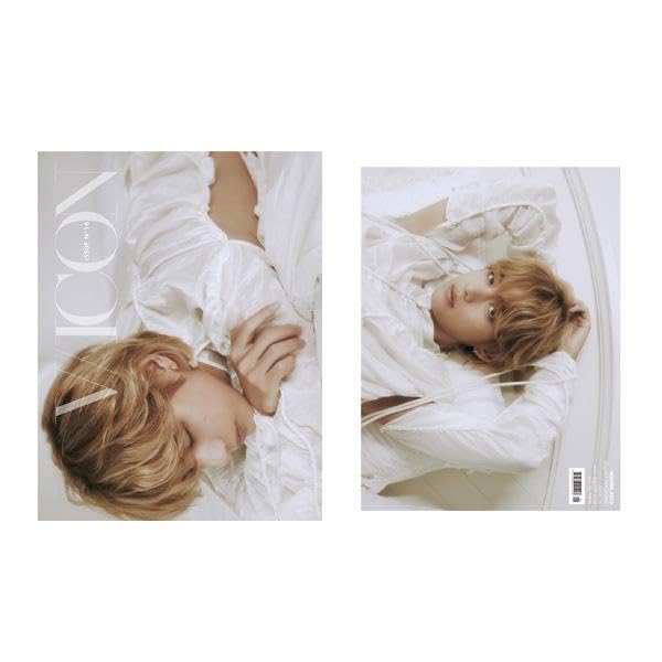 DICON V/ICON ISSUE N°16 V：C type V - VICON [DICON Issue N°16] - K PLACE